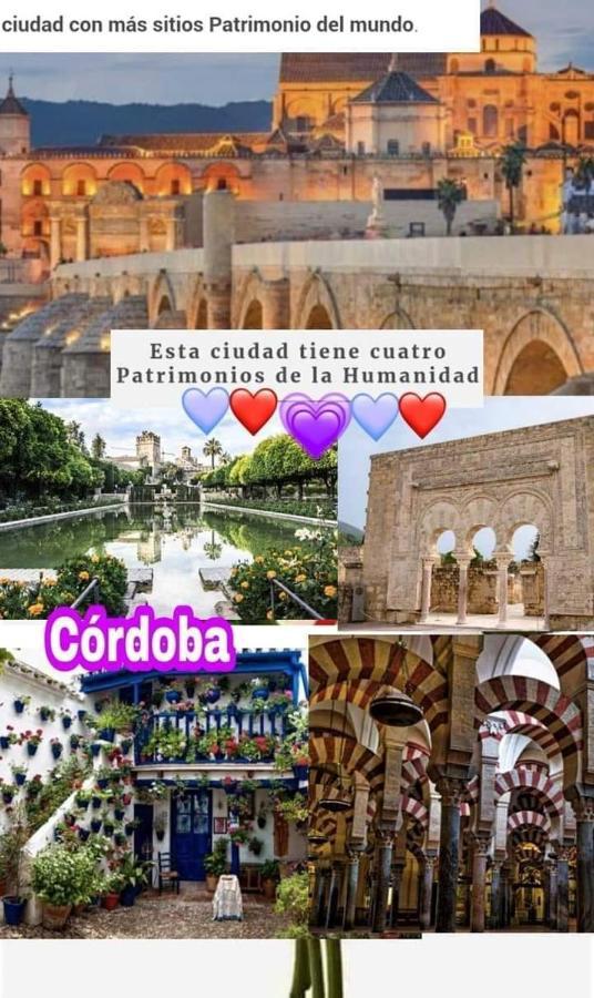 קורדובה Grupo Limcotel El Paseito De Concha-Mesquita-Parking מראה חיצוני תמונה